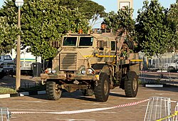 On_guard_(cropped).jpg