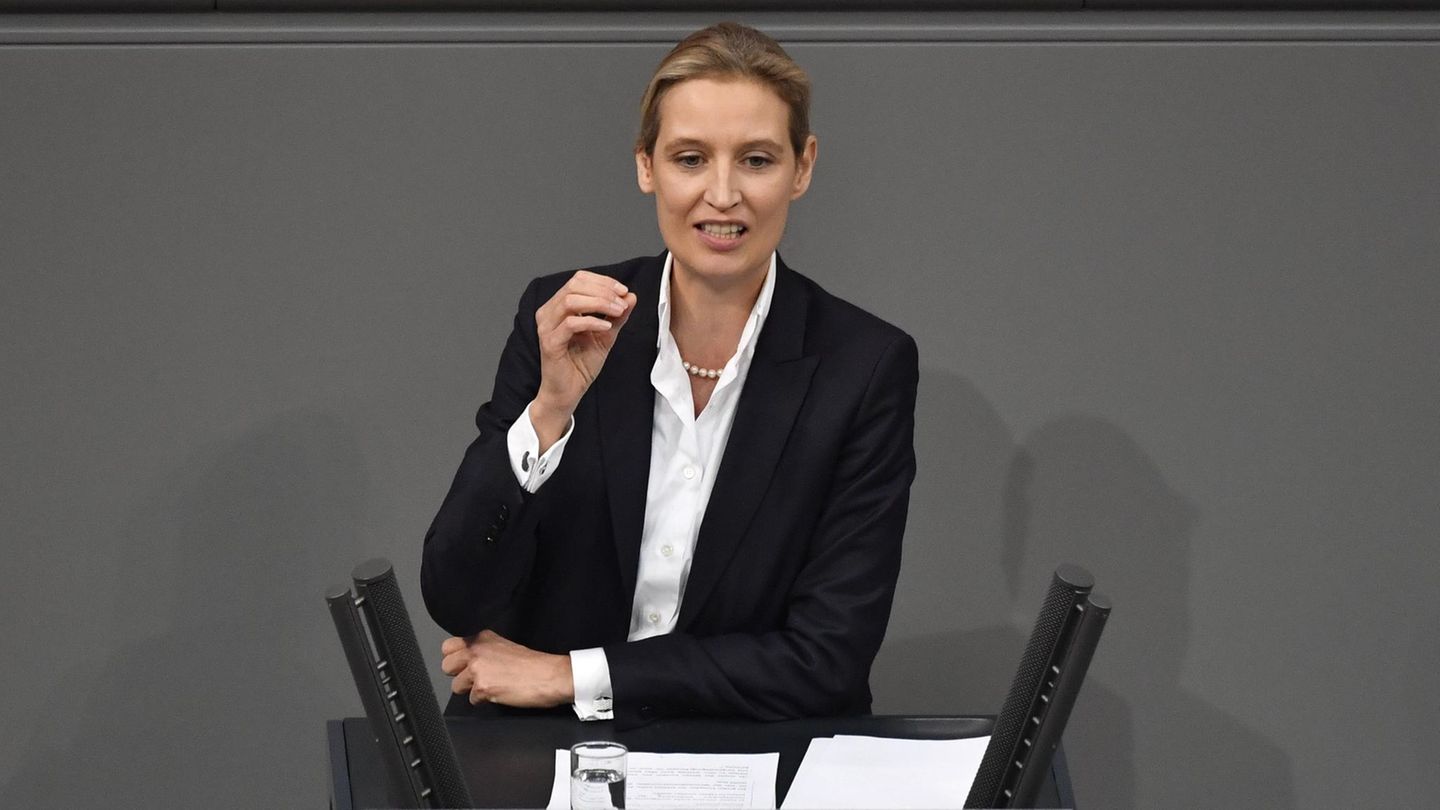 alice-weidel.jpg