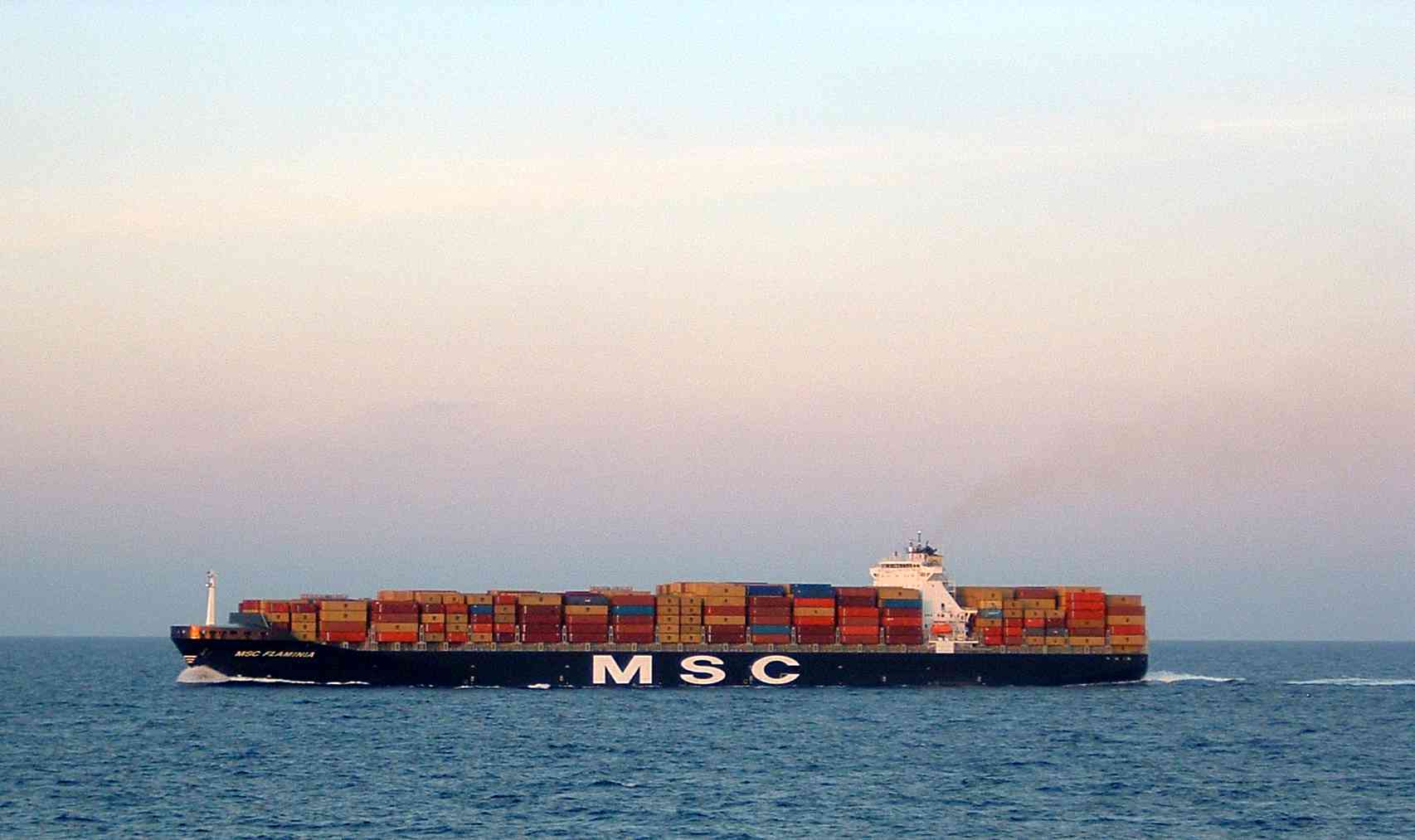 MSC_Flaminia_at_sea.jpg