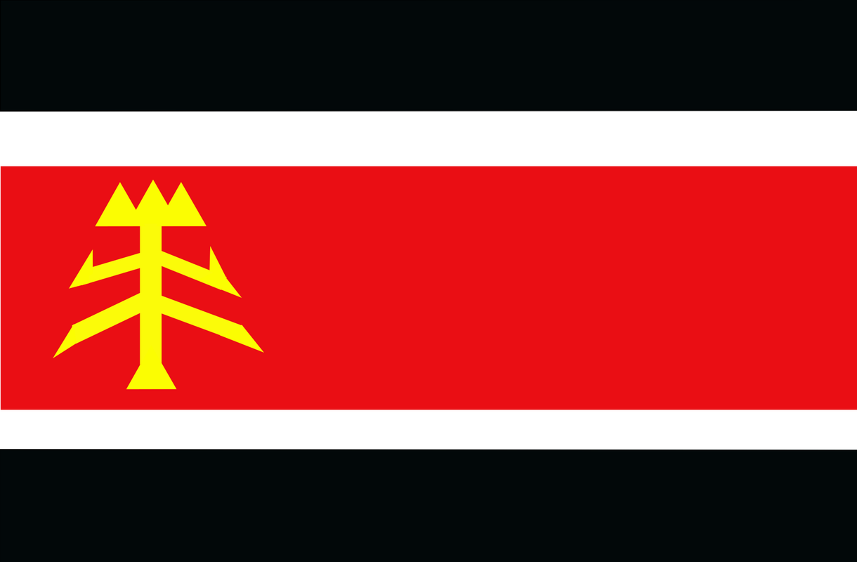 1920px-Bandera-del-MIM-svg.png