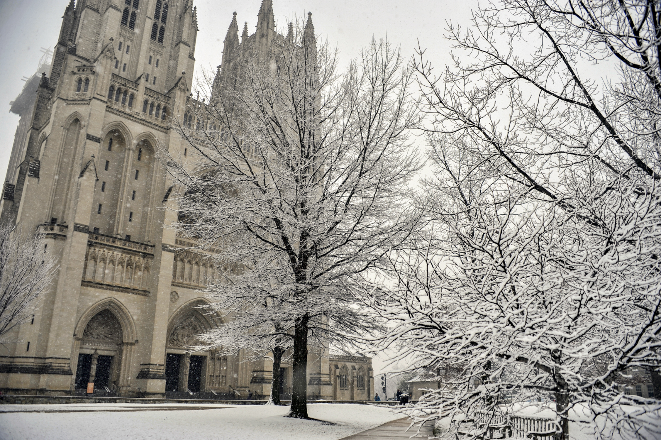outdoor-westfront-winter-snow-2015.jpg