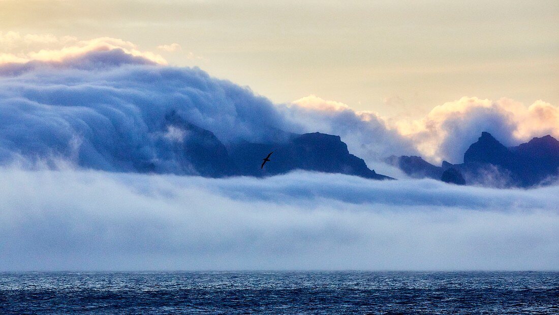 71362221-France-French-Southern-and-Antarctic-Territories-TAAF-Crozet-Islands-Ile-de-l-Est-East-Island-at-sunrise-seen.jpg