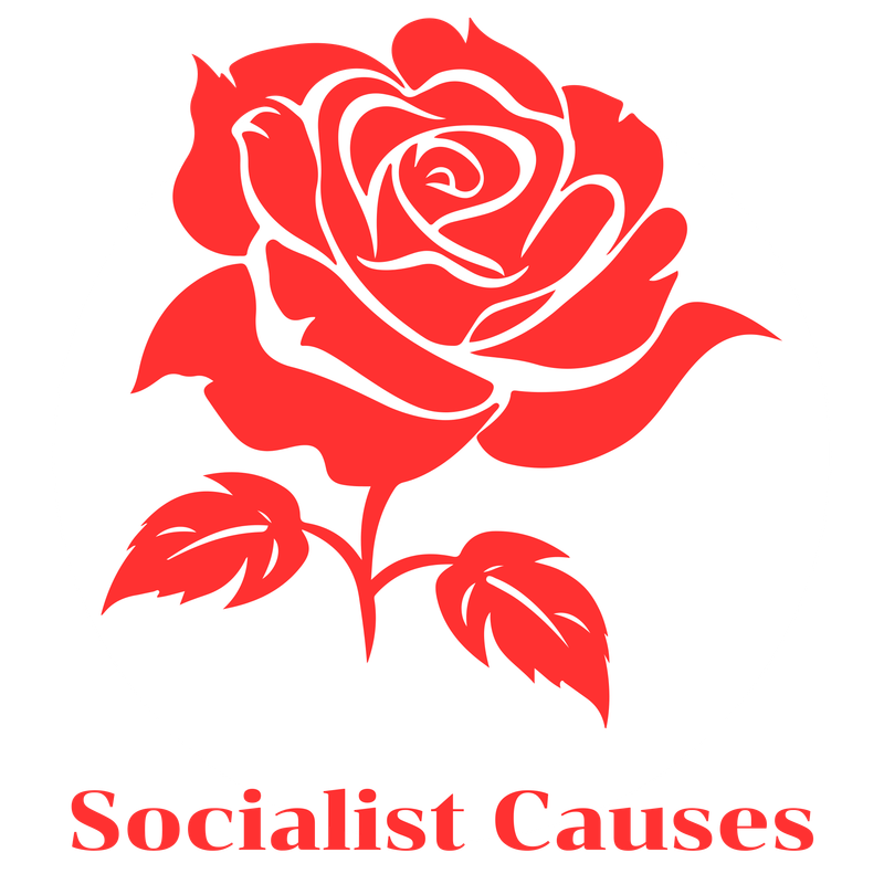 Socialist-Causes.png