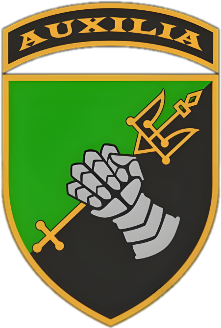 12th_Separate_Tank_Battalion.png