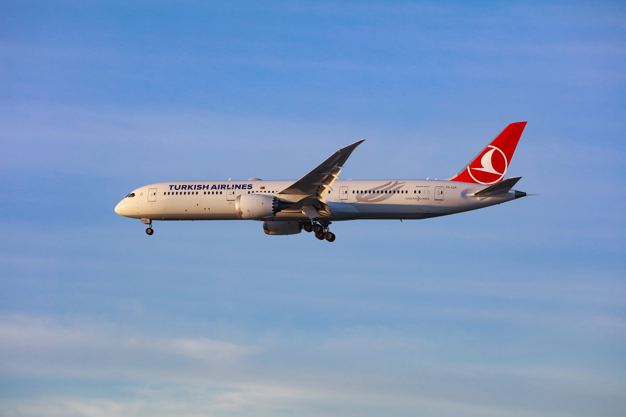 Turkish-Airlines-Boeing-787-Dreamliner.jpg
