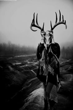 d5a39243c4106d78ac22887e57ded4c5--deer-skulls-animal-skulls.jpg