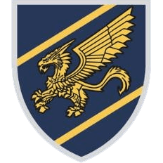 1st_Air_Force_Combined_Rifle_Brigade.png