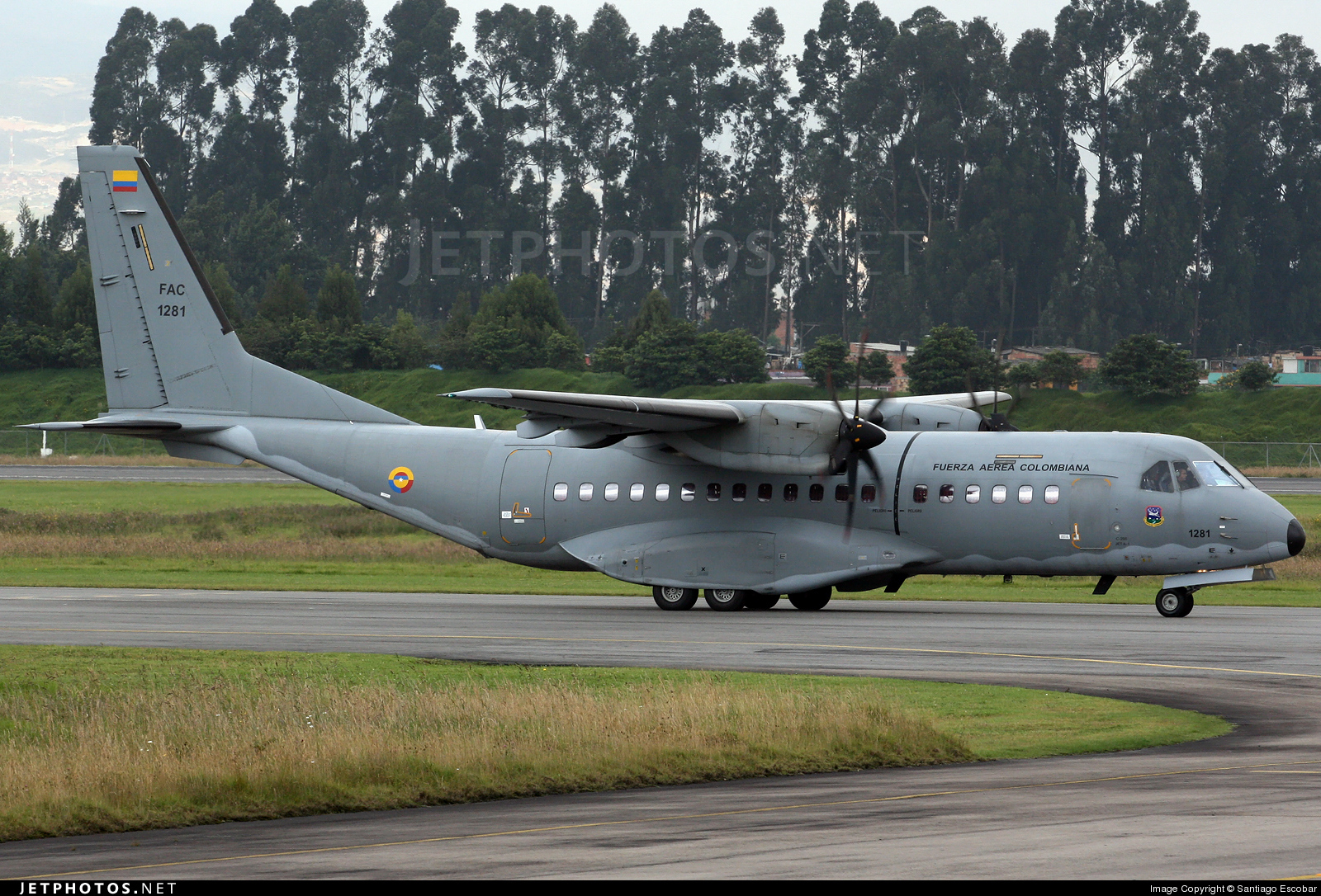 C295.jpg
