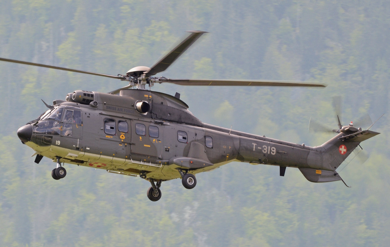 Eurocopter-AS332-M-1-Super-Puma-T-319.jpg