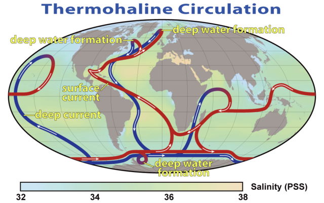 640px-Thermohaline_Circulation_2.png