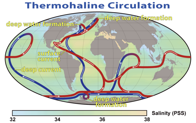 640px-Thermohaline_Circulation_2.png