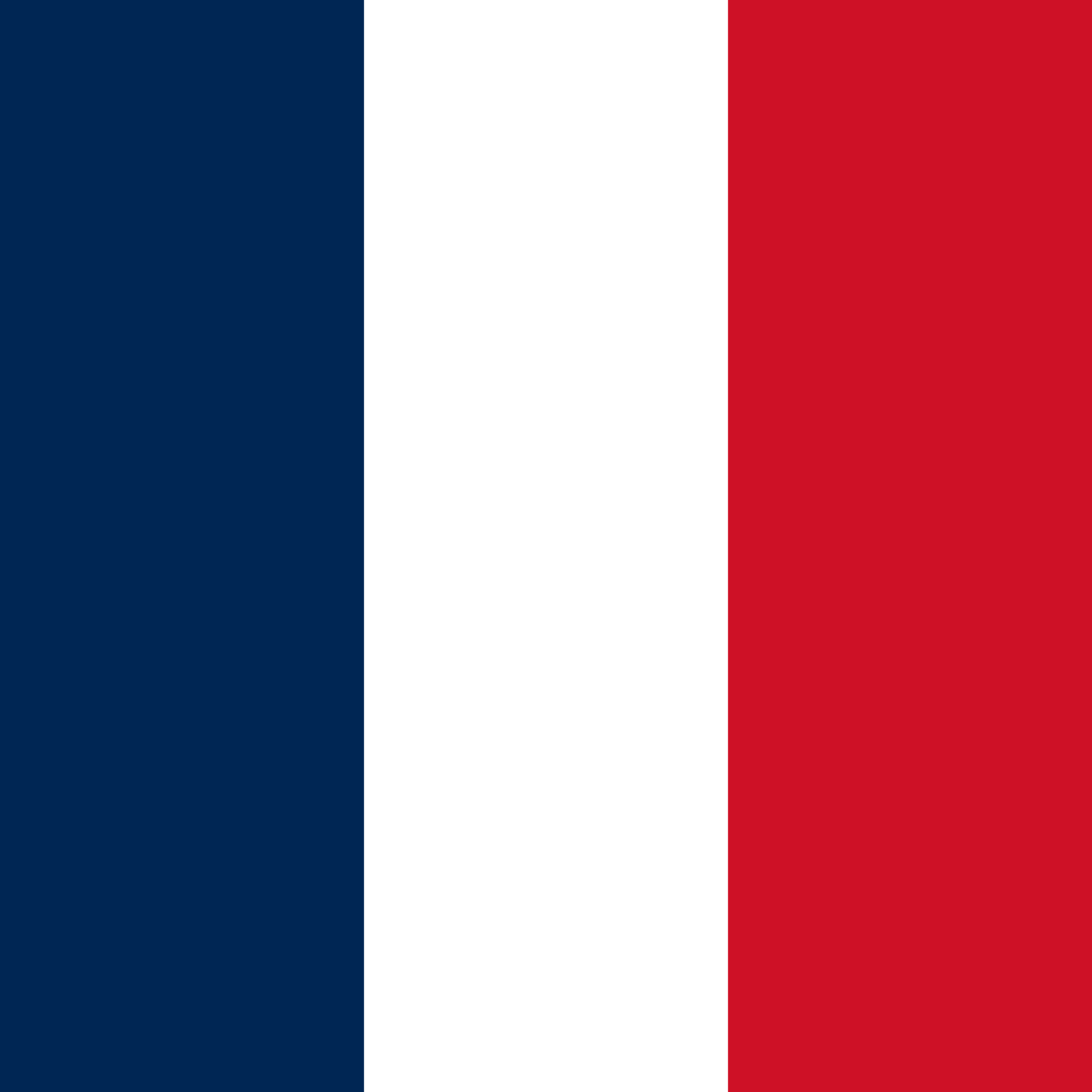 2048px-Standard_of_the_President_of_France.svg.png
