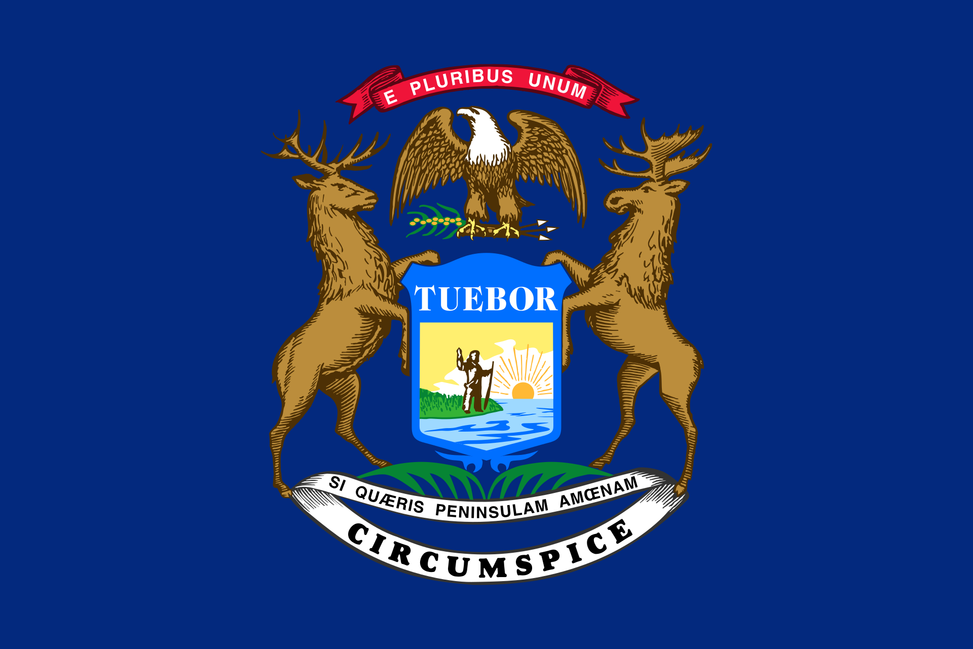 1920px-Flag_of_Michigan.svg.png